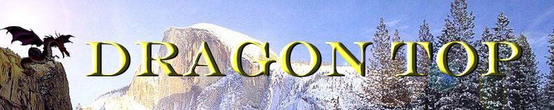Dragon Top Banner